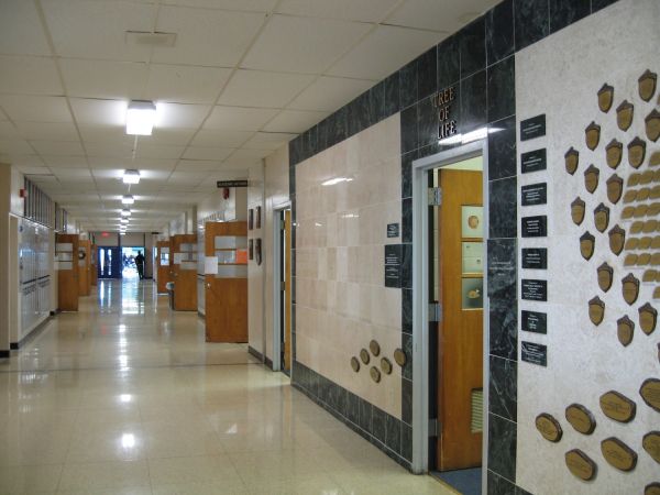 a9719965fe71851eee233fb3bd596ca1_1516026455_9968.jpg